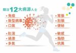WholeLove Plus 愛完全 - 全植物醫學級益生菌元配方 30包 400億 腸道益生菌 - Image 6