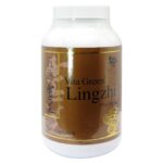 維特健靈 - 五色靈芝 240粒