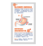 Noto-樂道-益胃丹 30粒 香港行貨 - Image 4