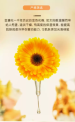 加州寶寶天然金盞花萬用乳霜/面霜 113g - Image 4